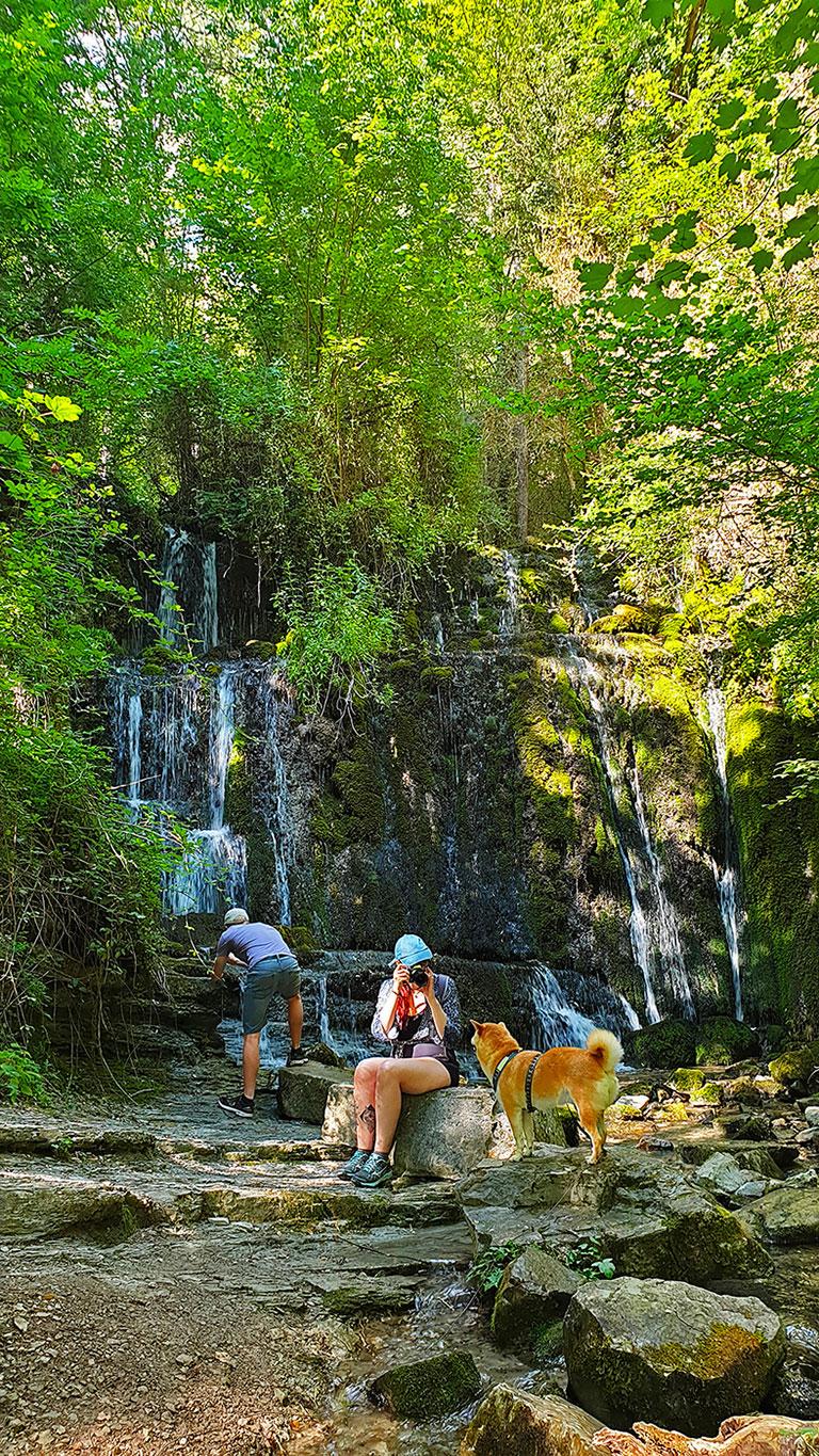 Forêt Giono