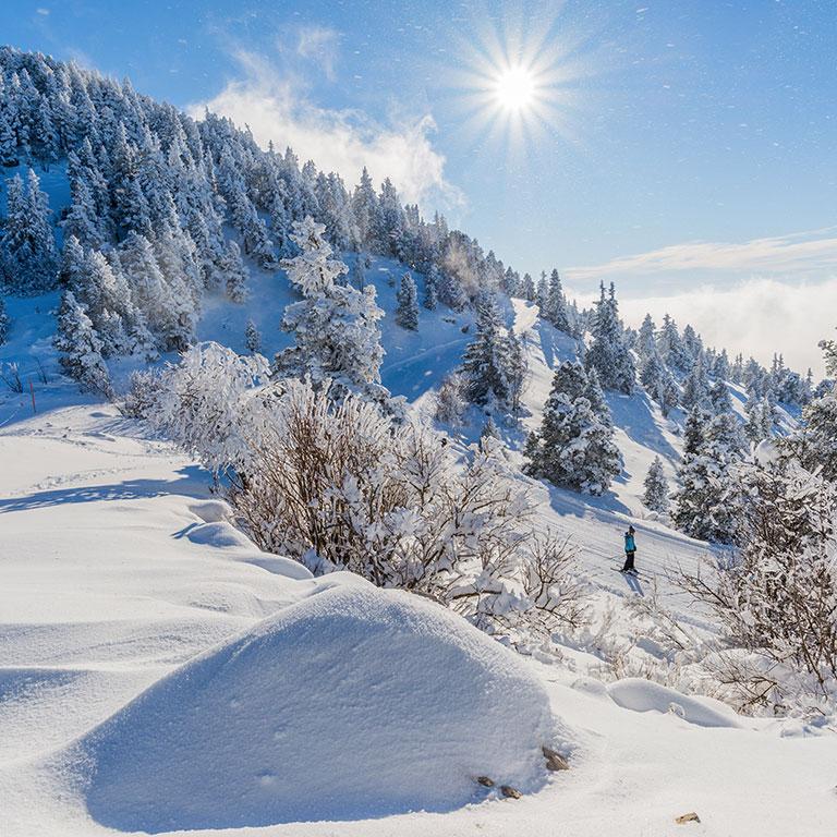 Lans en Vercors en Hiver ©Pierre Lonchampt