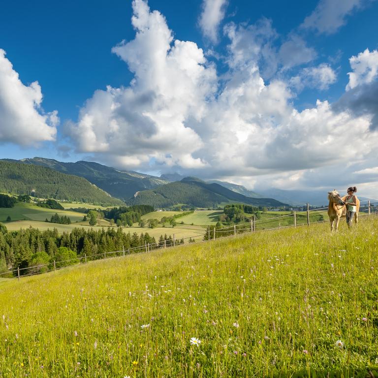 Lans en vercors en été ©Juraszek